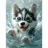 5d DIY Алмазная картина вышивка крестом милые животные хаски алмазная вышивка мозаика полный круглый дрель домашний декор