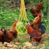 Fruit and Vegetable Mesh Bags, Vegetable Skewers, Animal Feeders, Hen Feeding Tools