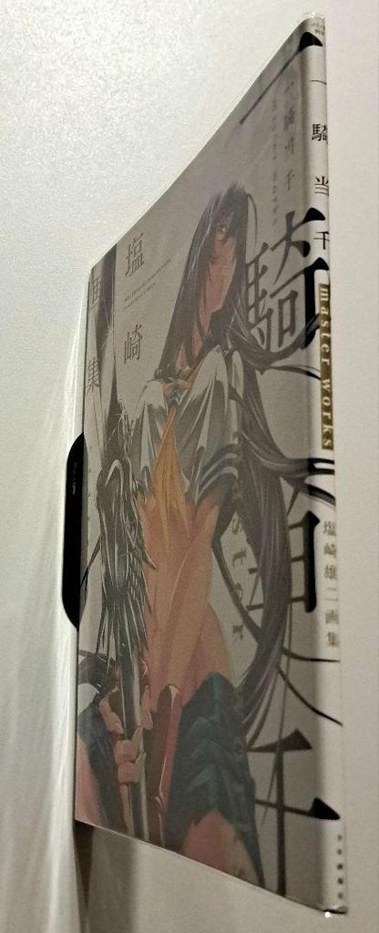 [USED] Ikki Tousen Master Works Yuji Shiozaki Art Collection