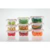 Iwasaki Industries Smart Flap & Rocks Storage Containers, Square, Large, Set of 2, Green, 900ml