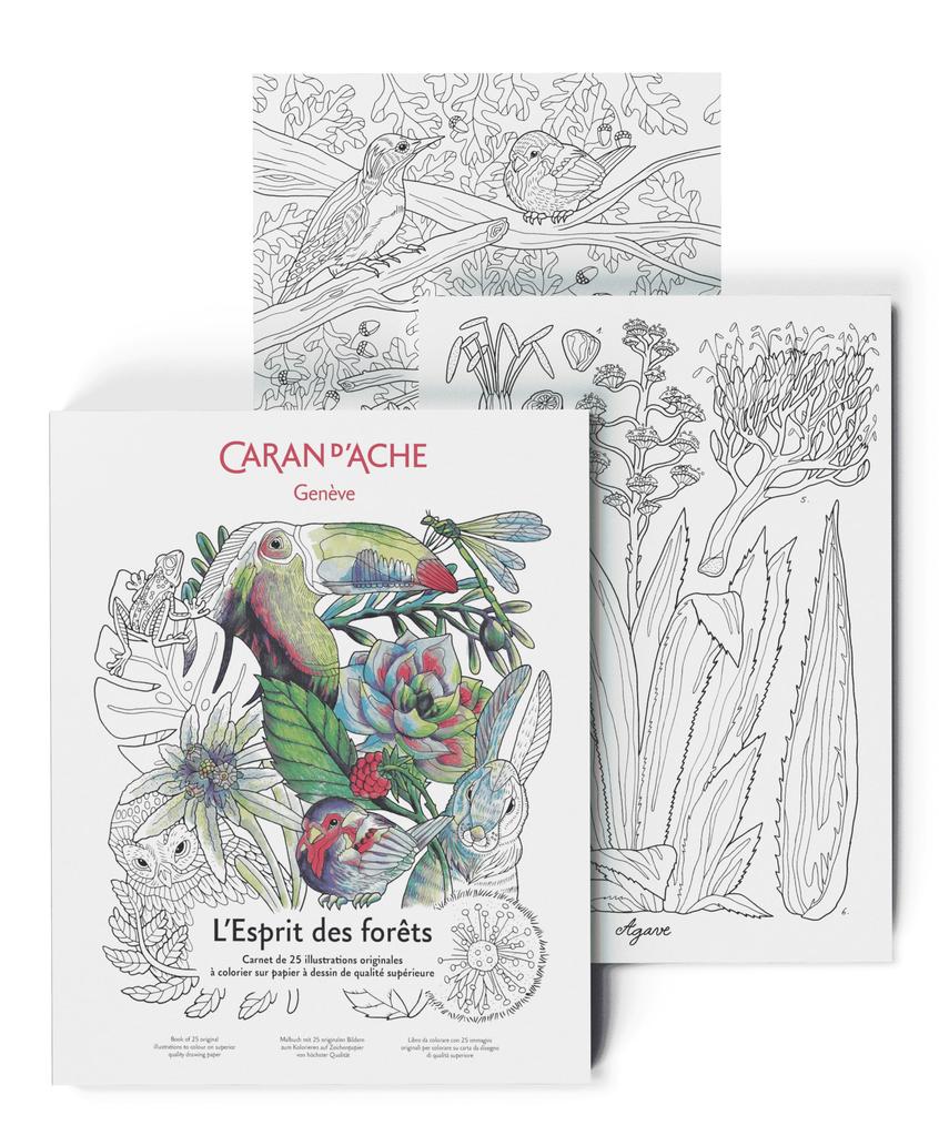 Каран Даш Раскраска Лес Книжка-раскраска 0454-802