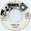 7inch Record ROY COUSINS & THE ROYALS - Promised Land / Gladstone Anderson Tamoki Wambesi  1976 UK Reggae, Ska & Dub