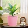 Набор из 5 пластиковых цветочных горшков 6 дюймов для комнатной и уличной террасы, сада, декоративные кашпо для растений с дренажными отверстиями и подходящими поддонами, прочные