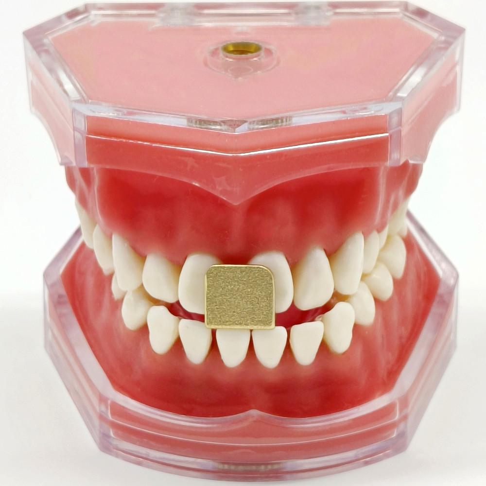 1 комплект зубных лотков, набор зубных передних зажимов, набор зажимов Lucia, набор слепочных лотков для стоматологической лаборатории для достижения центрального соотношения, алюминиевый сплав