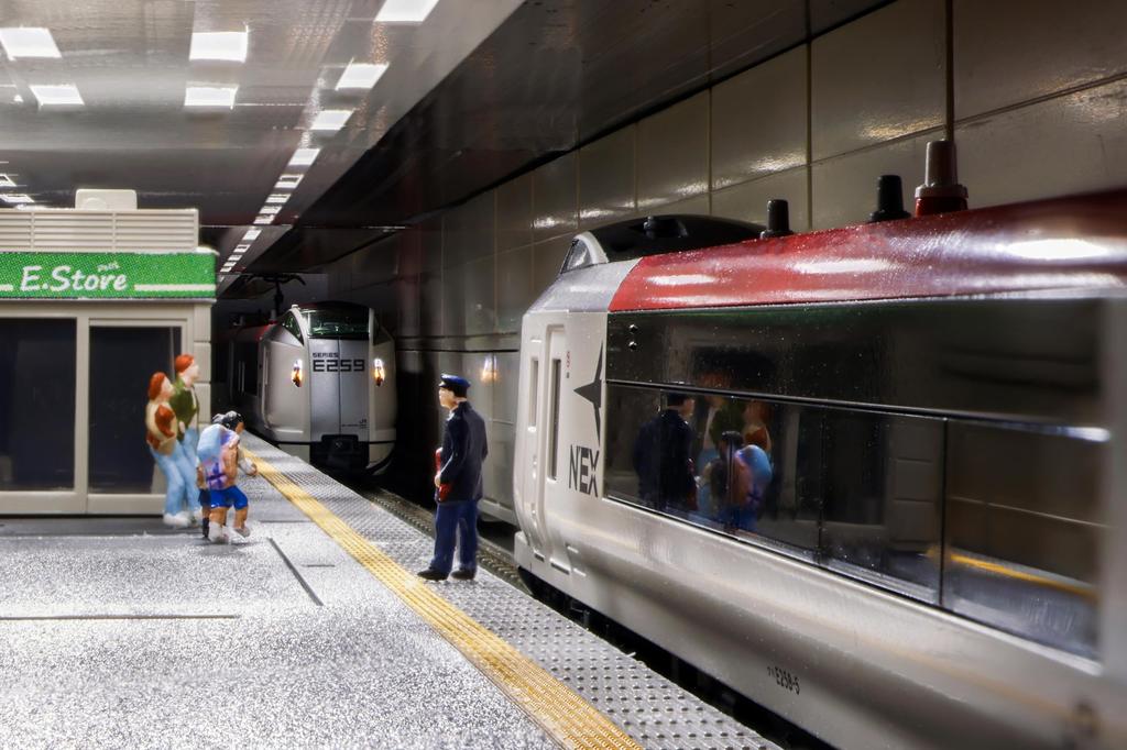 KATO N Gauge E259 Series Narita Express Renewal Color Basic Set 3 Cars Railway Model Train 10-1933