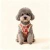 Pet clothes New Year's clothing Tang clothing dog cat Tang clothing national style thickened thermal cotton-padded clothing Teddy Bigbear Schnauzer