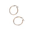 European and American high-end stainless steel earrings niche design size circle light luxury temperament stud earrings jewelry