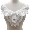 Beautiful Large Flower Embroidery Collar Black/White Floral Lace Decorative Collar Woman's Clothing Accessories