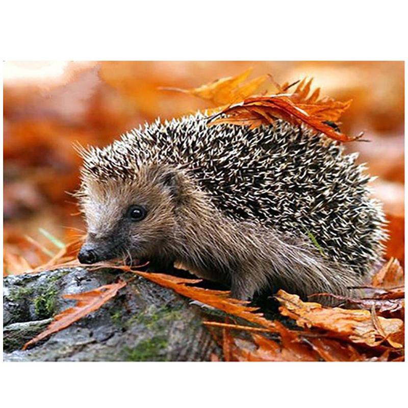 5D DIY алмазная живопись животные милый ежик вышивка крестиком полная дрель круглая алмазная вышивка мозаичная картина Декор из страз