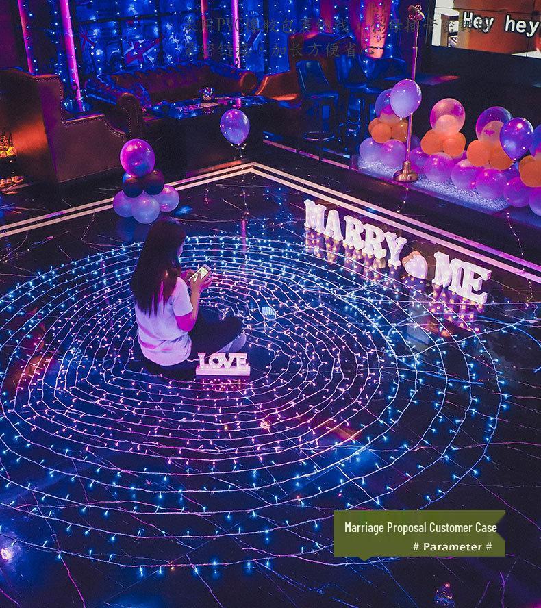 Outdoor LED Twinkling String Lights for Garden, Festival, Christmas, Wedding, Courtyard Decoration