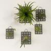 1PC Plastic Wall Hanging Creative Wall Mounted Board Black Plant Bed Board Thickened 22x16/27x21/37x27cm