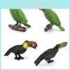 Small Hummingbird Animal Model Pvc Nature Scene Display For Childrens Classroom Use