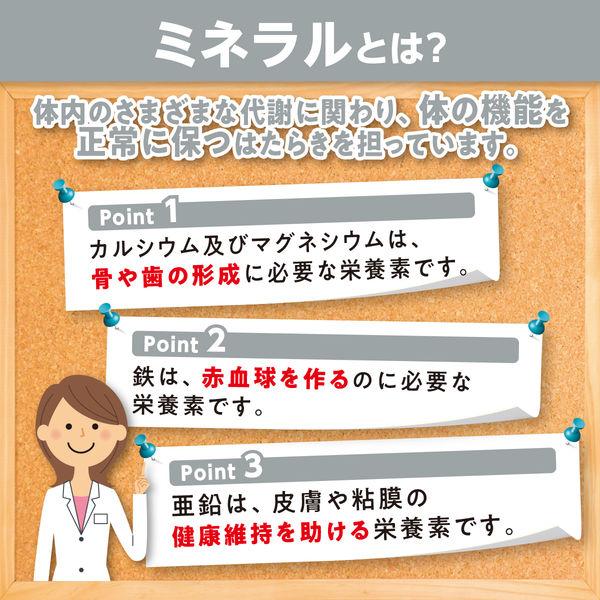 DHC Multimineral 60 Days Supply Iron Zinc Calcium Magnesium DHC Supplement Nutritional Functional Food S2047