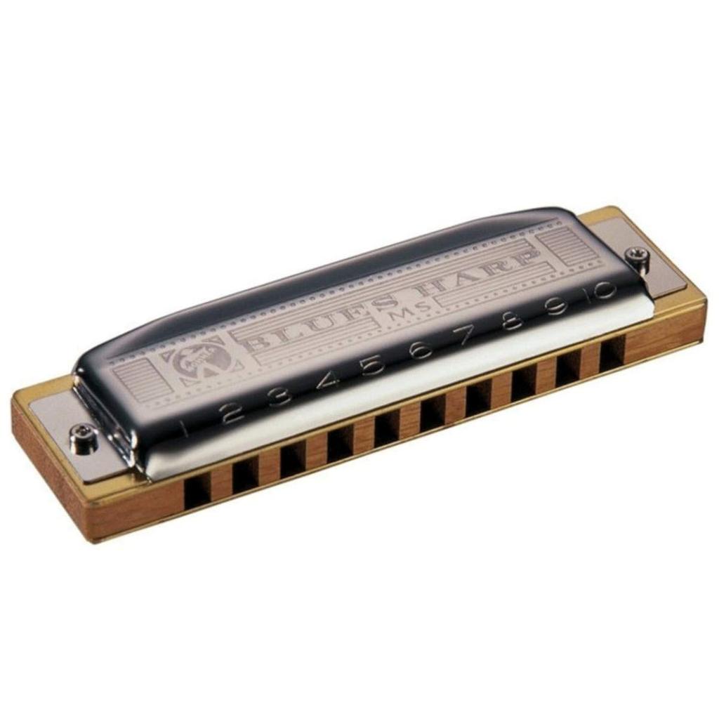 HOHNER Blues 10 Hole Harmonica Harp/D