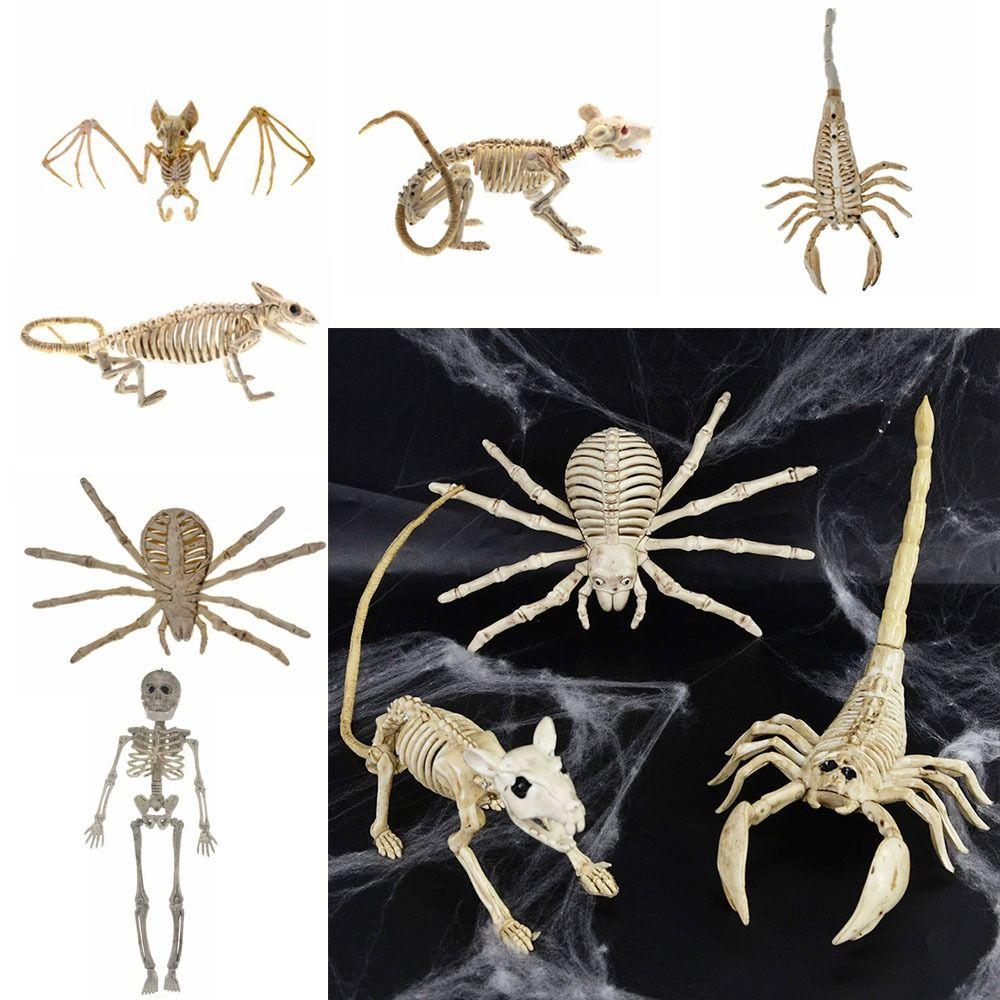 Skeleton Model Halloween Animal Skeleton Bat Mouse Lizard Scorpion Halloween Bats Skeleton Home