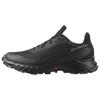 Alphacross 5 GORE-TEX Black Ebony Women Sneakers L47310900
