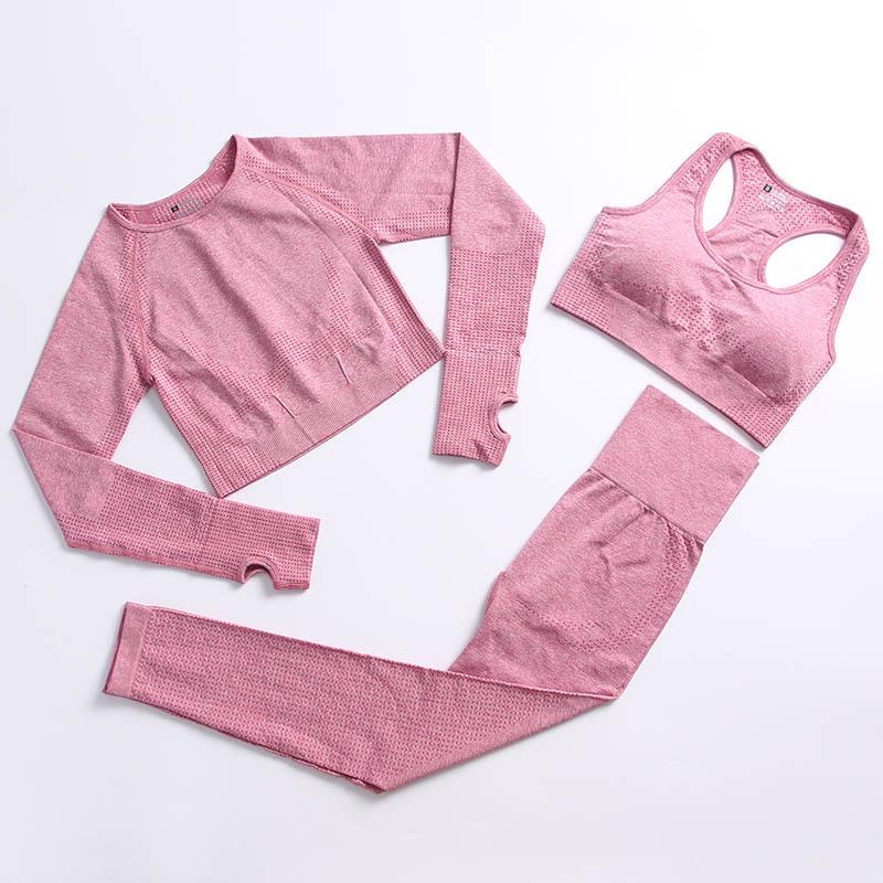 New European & American Women's Quick-Dry Yoga Set: Long Sleeve Top, Sport Vest, Tight Pants.