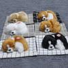 Sleeping Dog Plush Doll Sound Mat Home Car Cashboard Home Decoration