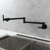 Black Wall Mounted Pot Filler Faucet Swivel Folding Rotary Kitchen Sink Faucet Brushed Gold Single Cooling Sink Tap
