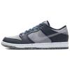 Sb Dunk Low Pro 'Crater' Skateboard Shoes CT2224-001