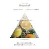 Nature Mode Botanical Milky Wax 72g <Up Style>
