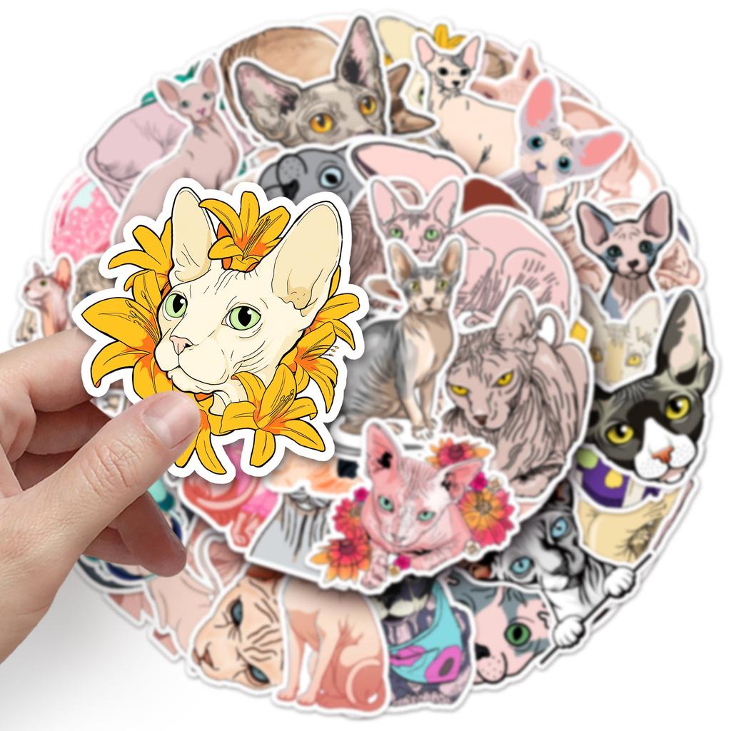 50 фото сфинкса, бесшерстного кота, мультяшного кота, гука, декоративная наклейка для чемодана, водонепроницаемая