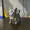 Yousheng French Bulldog Statue 3D Printed Standing Dog Figurine PLA Animal Sculpture Home Office Bookshelf Desktop Decoration Ornament