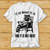 It Is What It Is And It Is Not Great Chillin Raccoon Joke Meme T Shirt Tee 2396