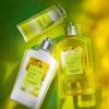 LOCCITANE Bourbon Vanilla Hand Cream 30mL Women Men Mens Popular Birthday Gift Present Return