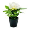 Artificial Potted Peony Flower Home Office Living Room Table Centerpiece Wedding Faux
