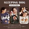 Gelato Pique Sleeping Dog Free Women's One-Point Long-Sleeved T-Shirt (Blue, Size)