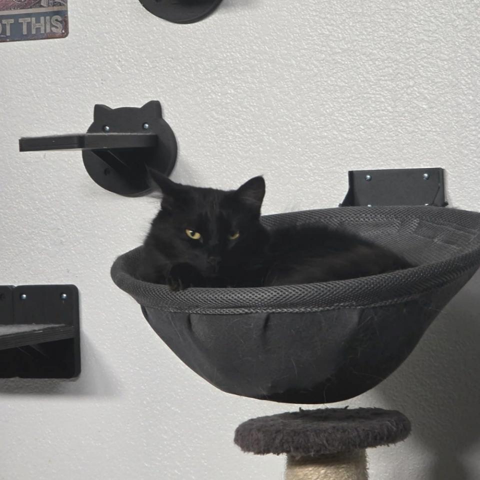 Window Cat Hammock Wall Cat Hang Hammock Bed Cradle Foldable Pet Bed Mesh Breathable Cats Wall Shelves Accessories Pet Furniture