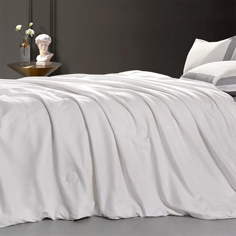 Fuanna Silky Antibacterial Tussah Silk Summer Quilt