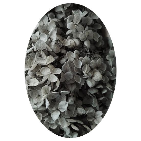 1 коробка, головки сушеных цветов, цветные, изысканные, 21 стиль, отличные привлекательные цветы гортензии, домашний декор