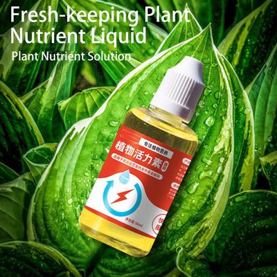 50/100/150/200 мл Питательное вещество для растений Стимулирует прорастание Быстрое цветение Быстрая пересадка Укоренение Раствор питательных веществ для растений Добавка Садовый инструмент