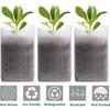 100 ШТ Дышащие пакеты для рассады растений Биоразлагаемые горшки для выращивания Тканевые контейнеры для рассады Предметы первой необходимости для домашнего садоводства