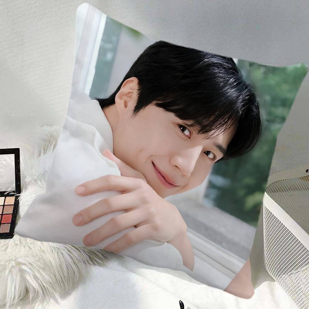 Kim Seonho Pillow Case Square Pillow Bedroom Sofa Leisure Comfort Cushion Car Home Decoration