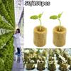 50/100pcs Seedling Grow Plugs Soilless Culture Rock Wool Plug Hydroponic Planting Grow Agricultural Water Cultivation Tubes