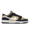 Dunk Low Next Nature Navy Gold Women Sneakers Blue Midnight-Navy White DD1873-401