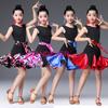 Girls Flower Ruffle Ballroom Latin Dance Wear Dress Competition Girl Kid Child Salsa Tango Cha Cha Performance Practice Skirt