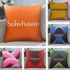 Luxury SSulwhasoo Cushion Cover Pillowcase Ultra Soft Skin Friendly Fabric Cloud Like Comfort Concealed Zipper