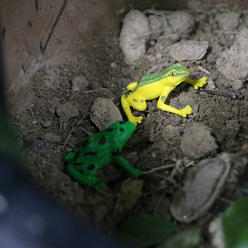 Toys Character Figure Colorful Realistic Frog Action Figures Assorted Frog Frogs Model Toys