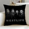 Trendy Wwestlifeed Cushion Cover Soft  EasyWash Pillow Case  Versatile for Couch Bed Travel and Office
