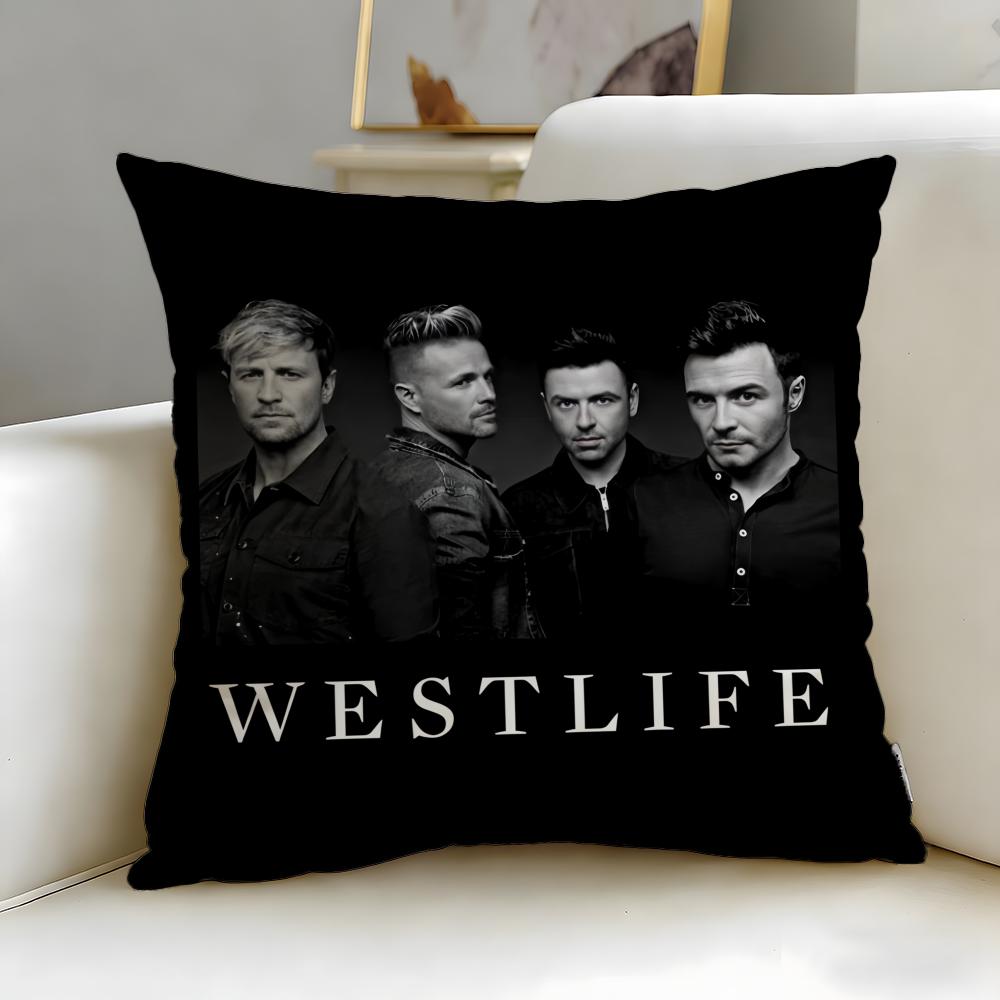 Trendy Wwestlifeed Cushion Cover Soft EasyWash Pillow Case Versatile for Couch Bed Travel and Office