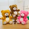 Милая цветная плюшевая игрушка-медведь для обнимания, детская подушка для сна, кукла для игрового автомата, город обмена, подарок на день рождения