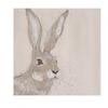 Bev Davies Wild Hare Print