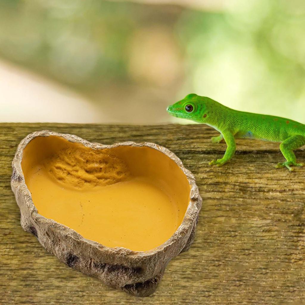 Коробка для разведения, резервуар для воды, прочная среда обитания для инкубации, большая вместимость, многоцелевой игровой водный питомец