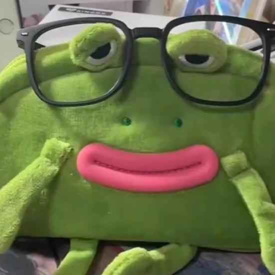 Пенал Лягушка в очках Дизайн Плюшевый Тканевый Пенал Большое Отверстие на Молнии Органайзер для Канцелярских Принадлежностей