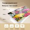Compatible Ribbon & Photo Paper Set for Fujifilm PSC2D Printer