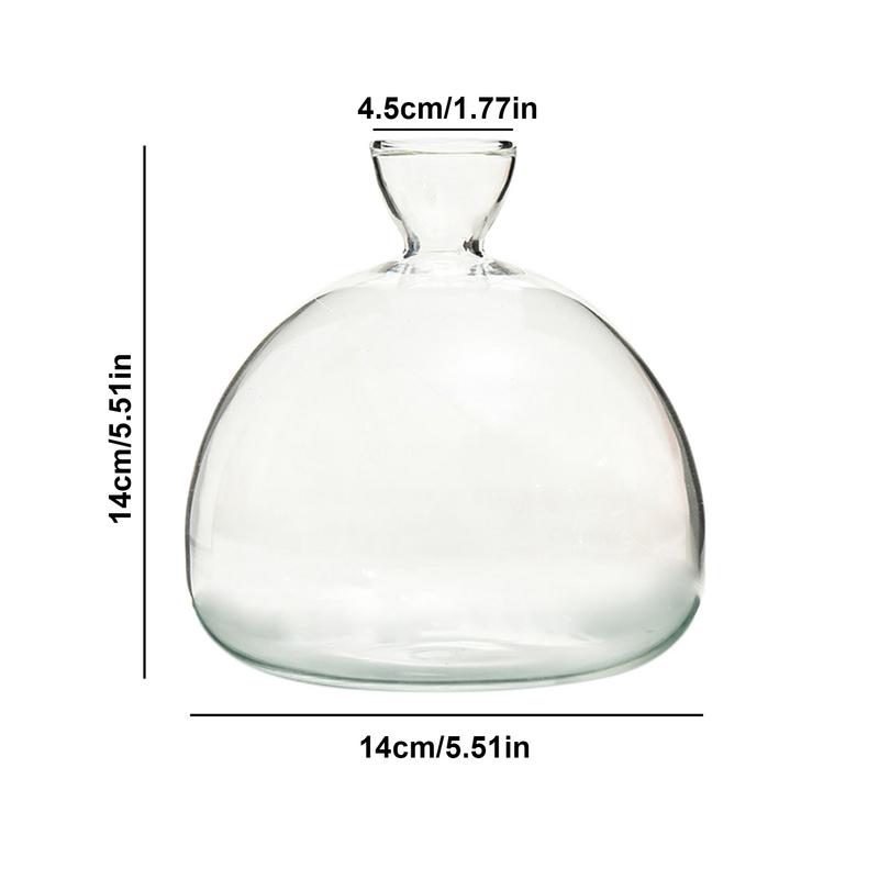 Ваза для закваски семян авокадо Ваза для выращивания семян авокадо, набор для выращивания семян авокадо, стекло для растений с наклейками, подарок для любителей садоводства